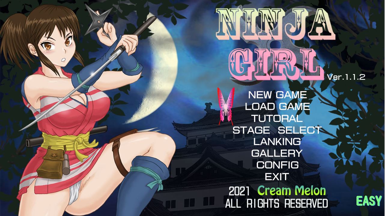 NINJA GIRL â€“ Version 1.1.2 - Adult Games Collector